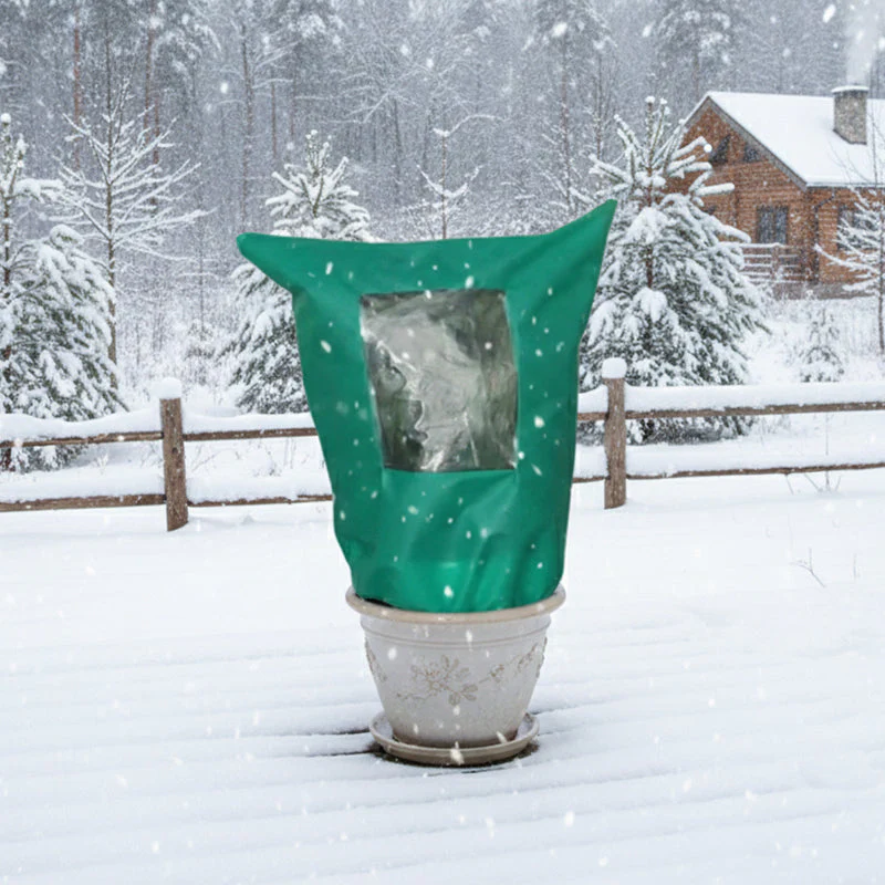 Avelena | CozyPlant – Schützen Sie Ihre Pflanzen vor Winterkälte und helfen Sie ihnen zu gedeihen - Image 4