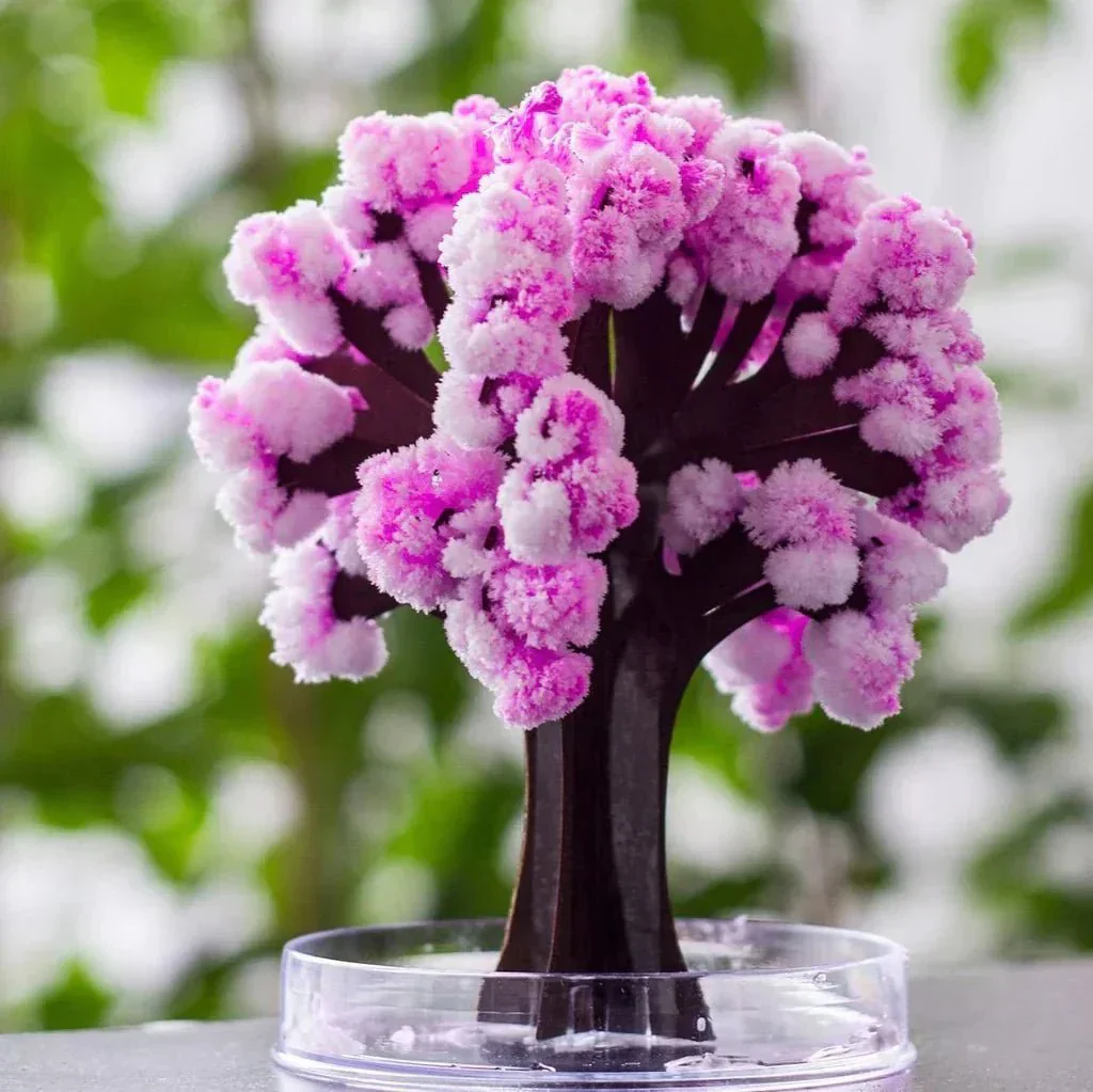 Avelena | Lass deinen Garten blühen - Züchte deinen Sakura-Baum! - Image 2