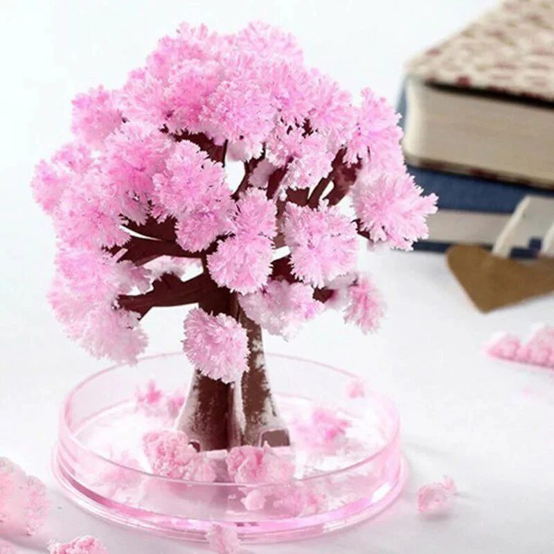 Avelena | Lass deinen Garten blühen - Züchte deinen Sakura-Baum! - Image 3