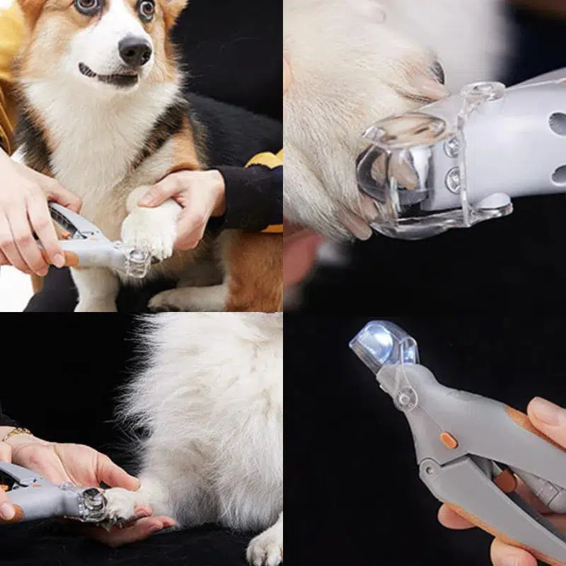 Avelena | MAX - Die besten Nagelschneider für Hunde mit Schnellsensoren - Image 4
