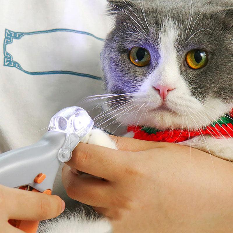 Avelena | MAX - Die besten Nagelschneider für Hunde mit Schnellsensoren - Image 7
