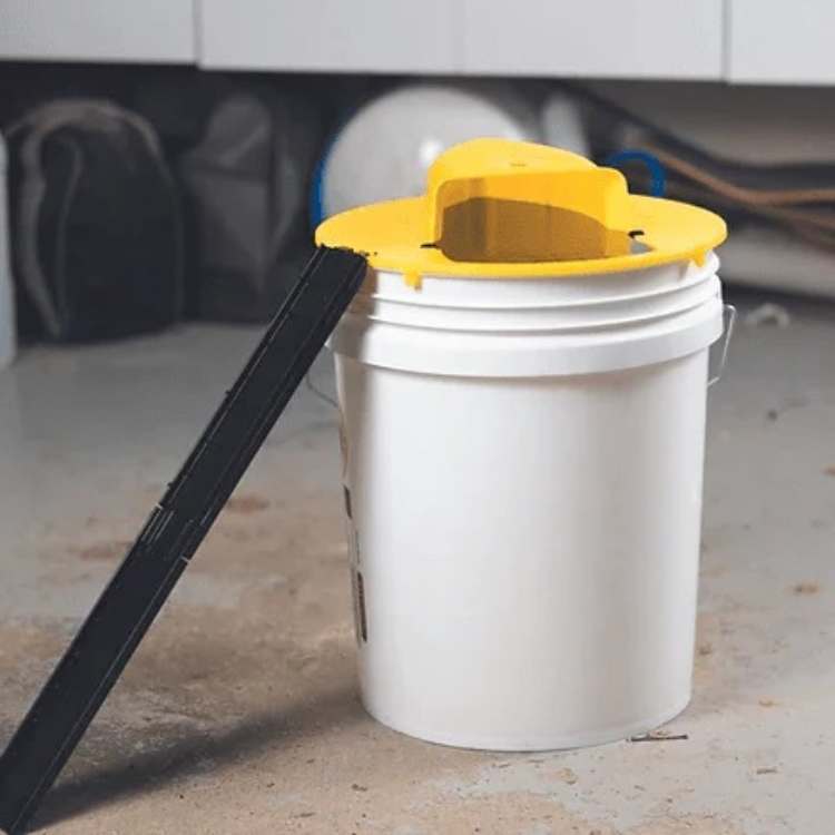 Avelena | Musefelle Multi-Catch | Automatische Neige-Funktion | Sicher für Kinder und Haustiere - Image 3