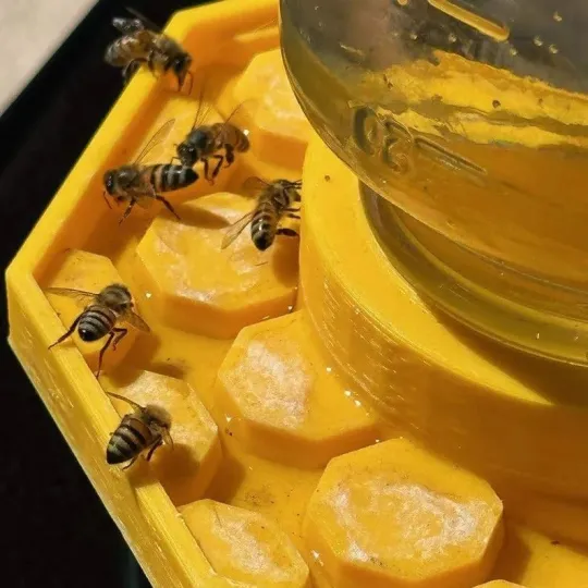 BienenQuelle™ Bienenfreundliche Wasserquelle - Image 3