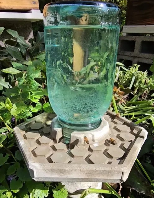 BienenQuelle™ Bienenfreundliche Wasserquelle - Image 6