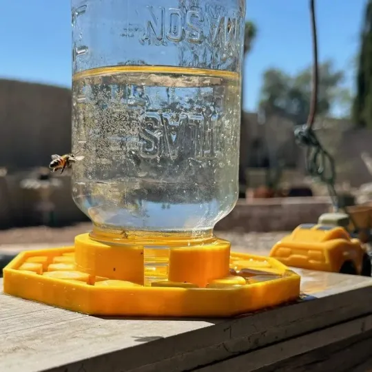 BienenQuelle™ Bienenfreundliche Wasserquelle - Image 7