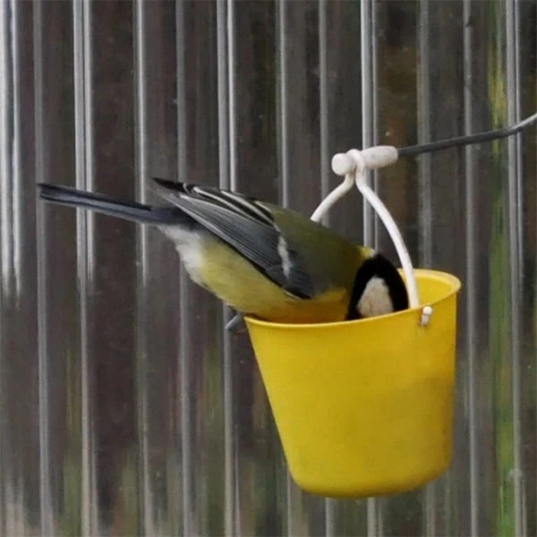 FederRad™ Spielspaß für Vögel - Image 7