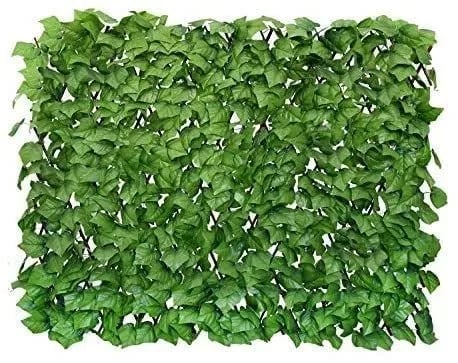 GrünSchleier™ Sofortiger Üppiger Sichtschutz - Image 11