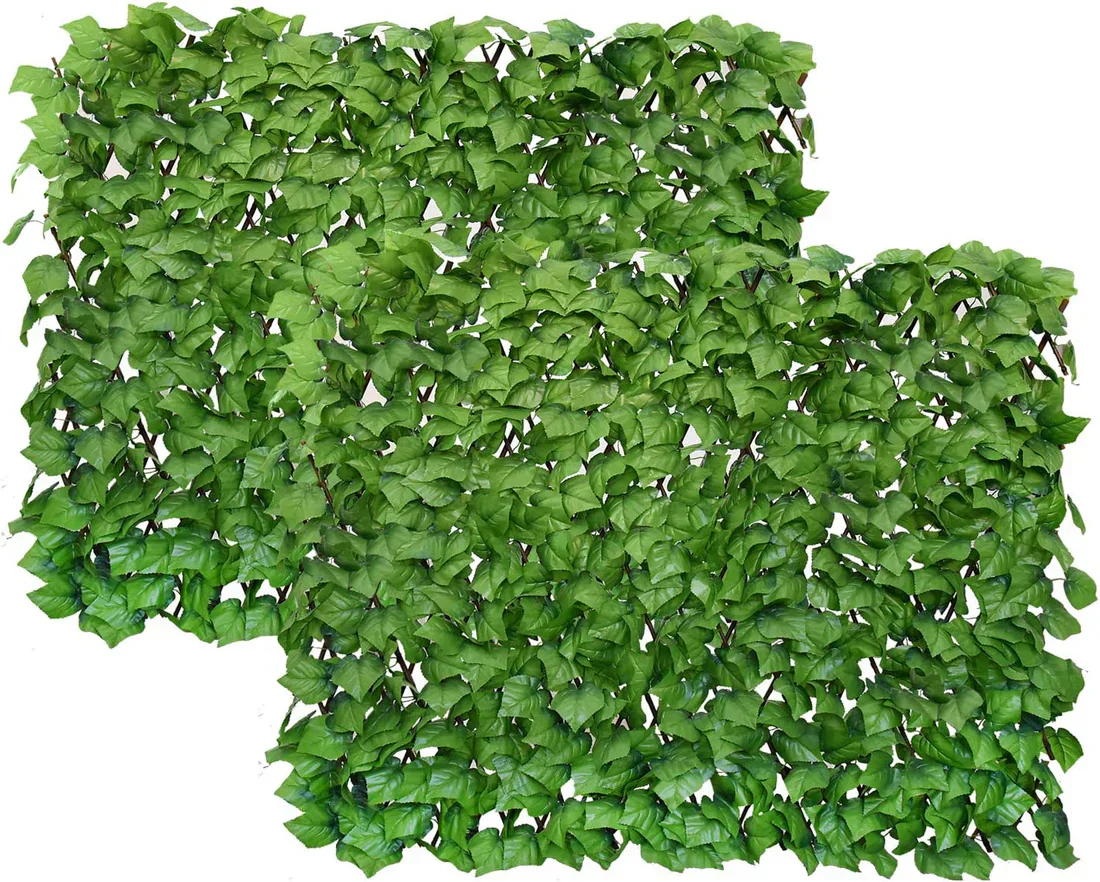 GrünSchleier™ Sofortiger Üppiger Sichtschutz - Image 12