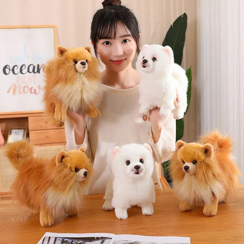 Hochwertiger Plüsch-Pomeranian – Weiche, realistische Hunde-Plüschtiere für Kinder, 30 cm groß - Image 2