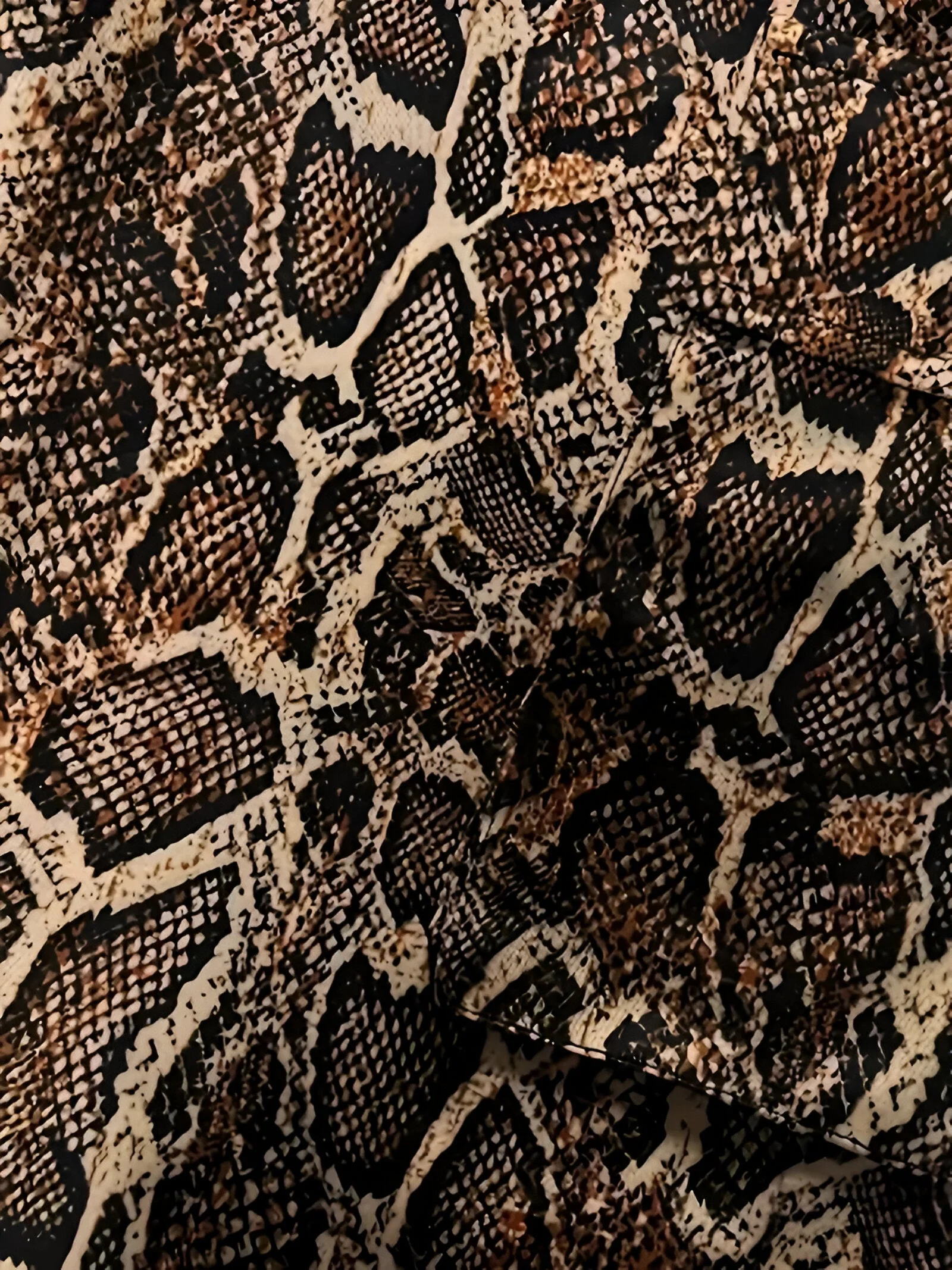 Louisa | Schicke Snake Skin Print Jogginghosen mit Hohem Bund - Image 2
